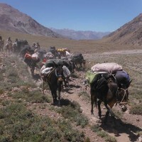 aconcagua-2013-deanbeard58