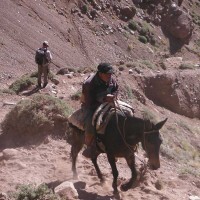 aconcagua-2013-deanbeard75