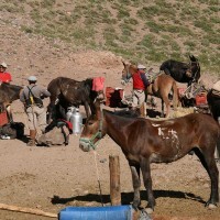 Aconcagua-2013-Stu32