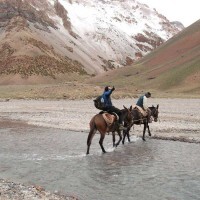 Aconcagua-2013-Dean-Beard21