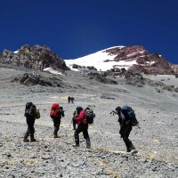 Aconcagua-2013-Dean-Beard34