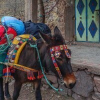 morocco-mountaineeringjan1610