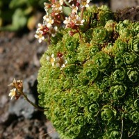 elbrus-stu-group-june16-02