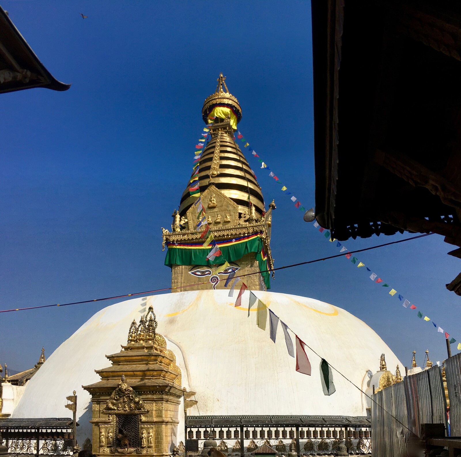 Monkey temple. Kathmandu