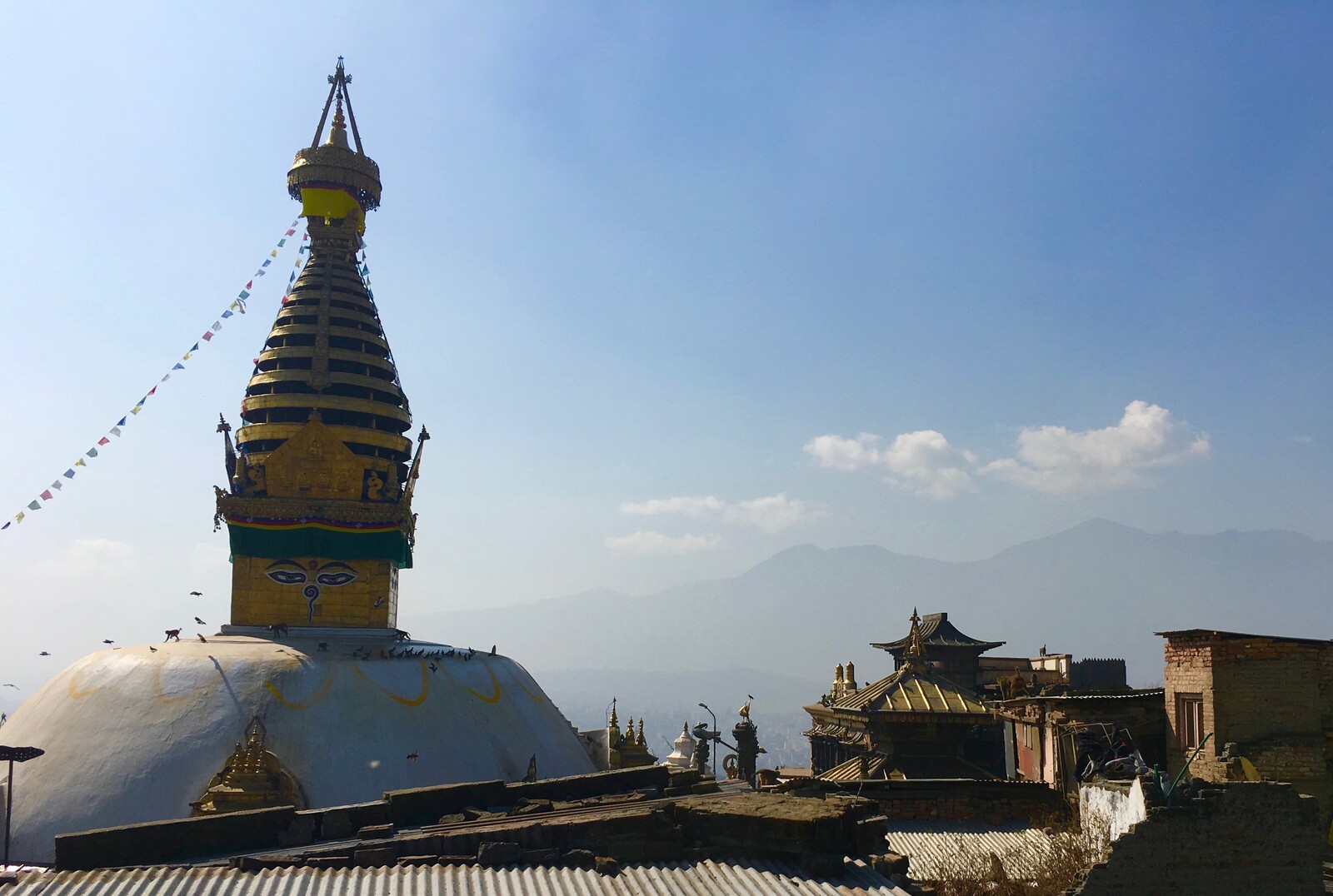 Monkey temple. Kathmandu.