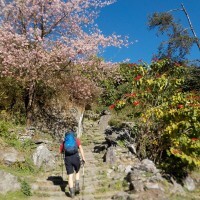 Annapurna_Sanctuary_trek