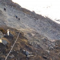 descending_to_glacier