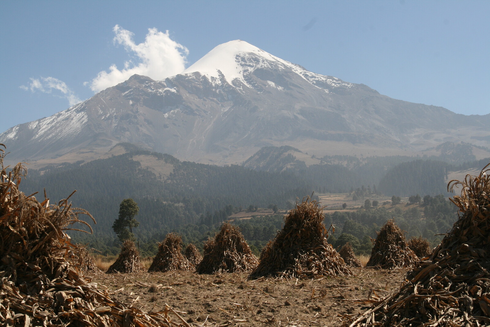 Orizaba