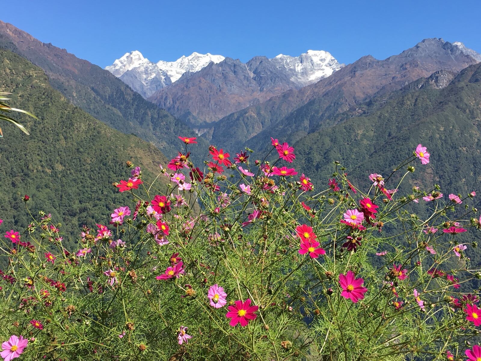 Mera-peak-oct-17 (4)