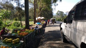 Stopping for fruit on the way