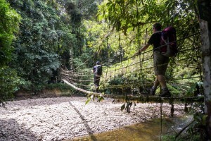 Borneo-July-18-PK (8)