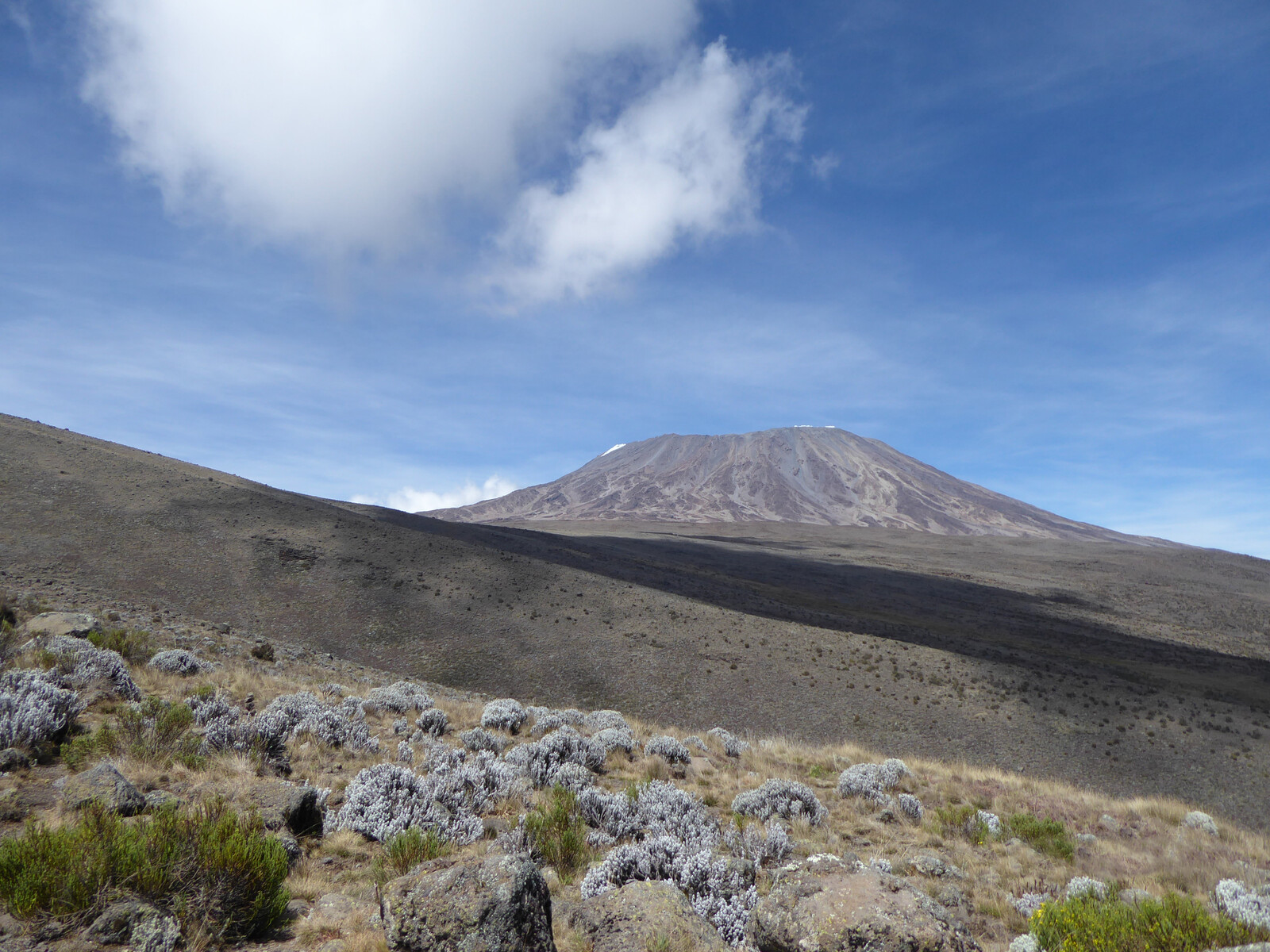 Kilimanjaro