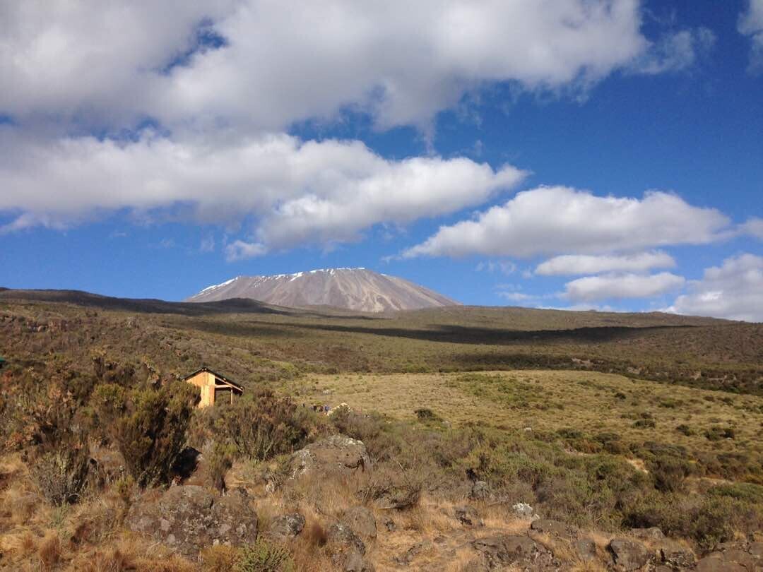 Kilimanjaro