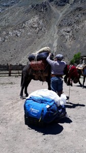 Aconcagua-Nov-18-CG (1)