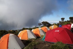 Kili-Rongai-RR-July-19 (3)