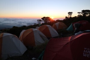 Kili-Rongai-RR-July-19 (6)