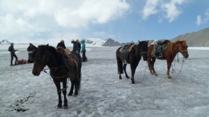 10. Horses were used up to ABC below Mt Khuiten