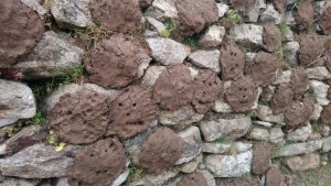 Yak dung out to dry