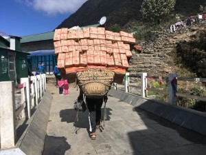 Supply porter on the trail