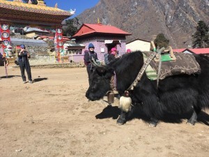 Tengboche monastery