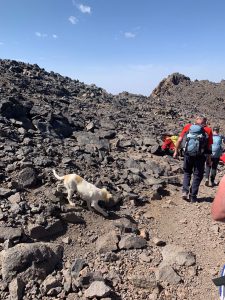 Toubkal (10)