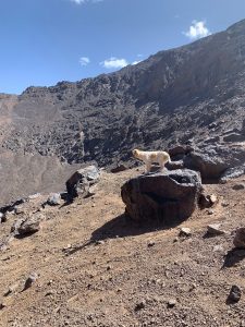 Toubkal (11)