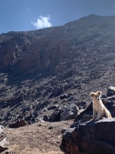 Toubkal (13)